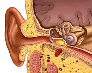 بیماری های گوش