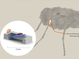 طراحی سمعک فوق حساس و دقیق با الهام گرفتن از مگس